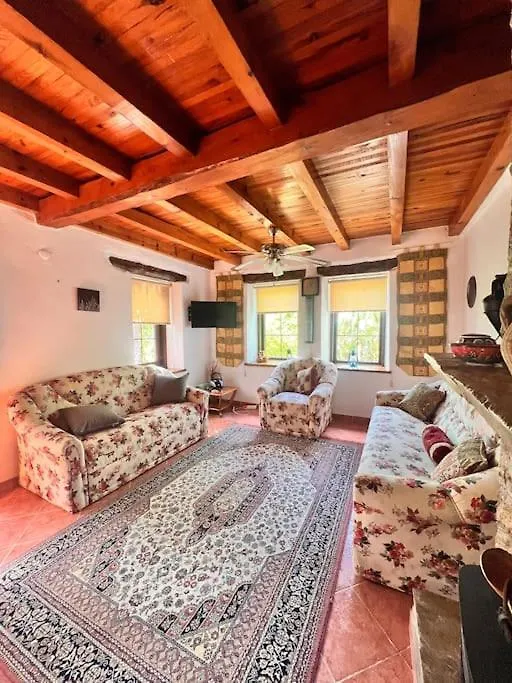 Benzersiz Jakuzili Villa Fethiye