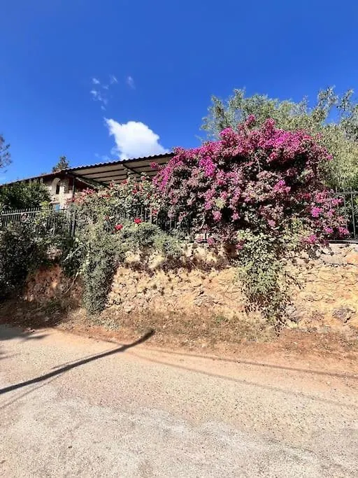 Benzersiz Jakuzili Villa Fethiye