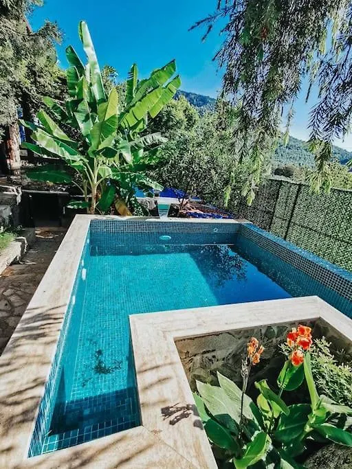 Benzersiz Jakuzili Villa Fethiye