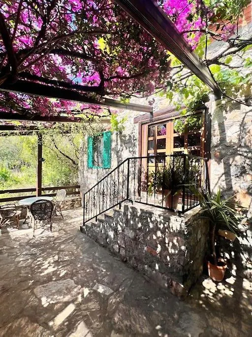 Benzersiz Jakuzili Villa Fethiye 0*,