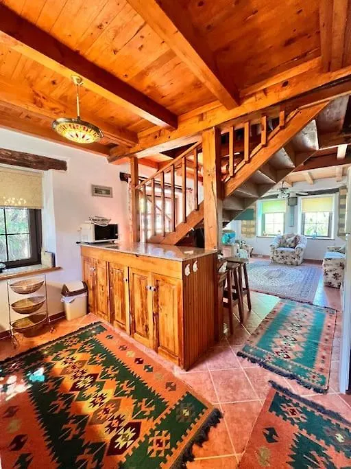 Benzersiz Jakuzili Villa Fethiye 0*,  Tyrkiet
