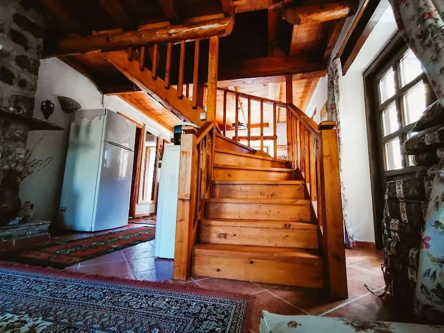 Benzersiz Jakuzili Villa Fethiye