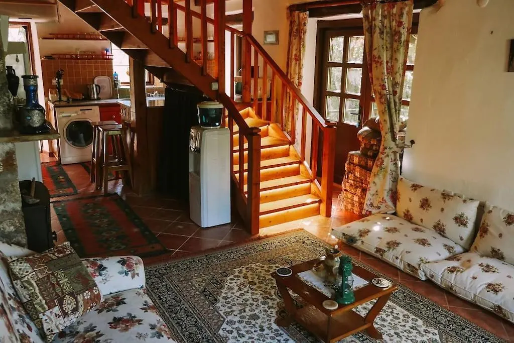 Benzersiz Jakuzili Villa Fethiye 0*,  Tyrkiet