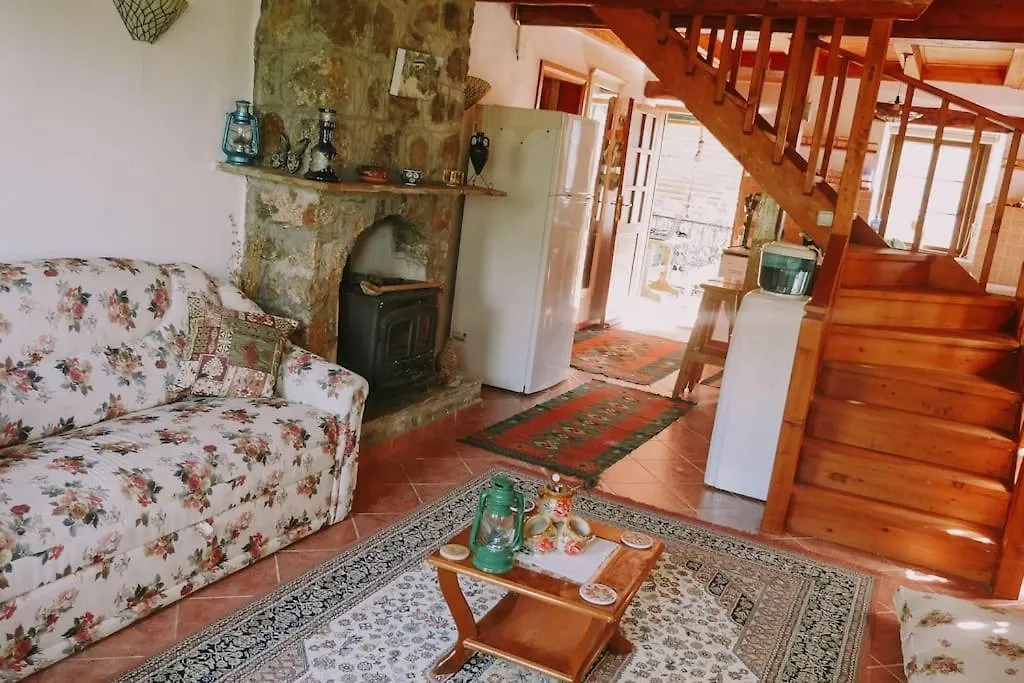Benzersiz Jakuzili Villa Fethiye